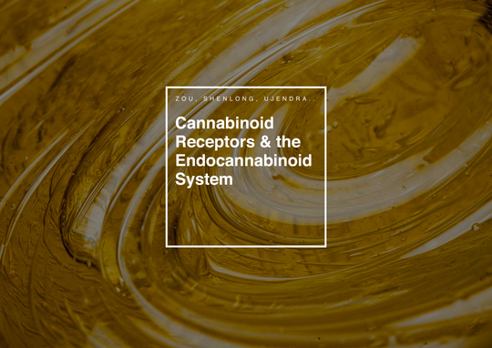 Cannabinoid Receptors & CBD