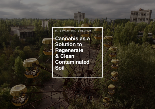 Regenerating Contaminated Soil