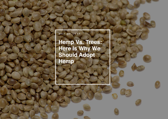 Hempseed