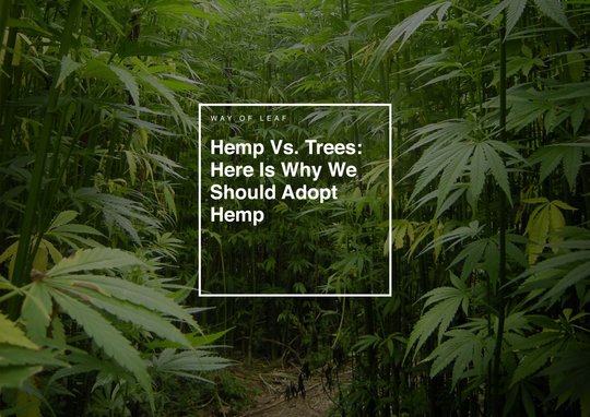 Hemp Vs. Trees